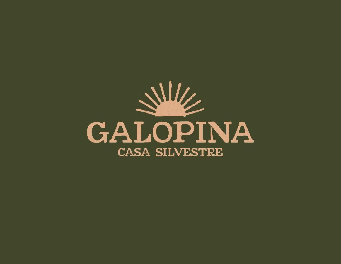 Galopina Bed & Breakfast Seye Exterior foto