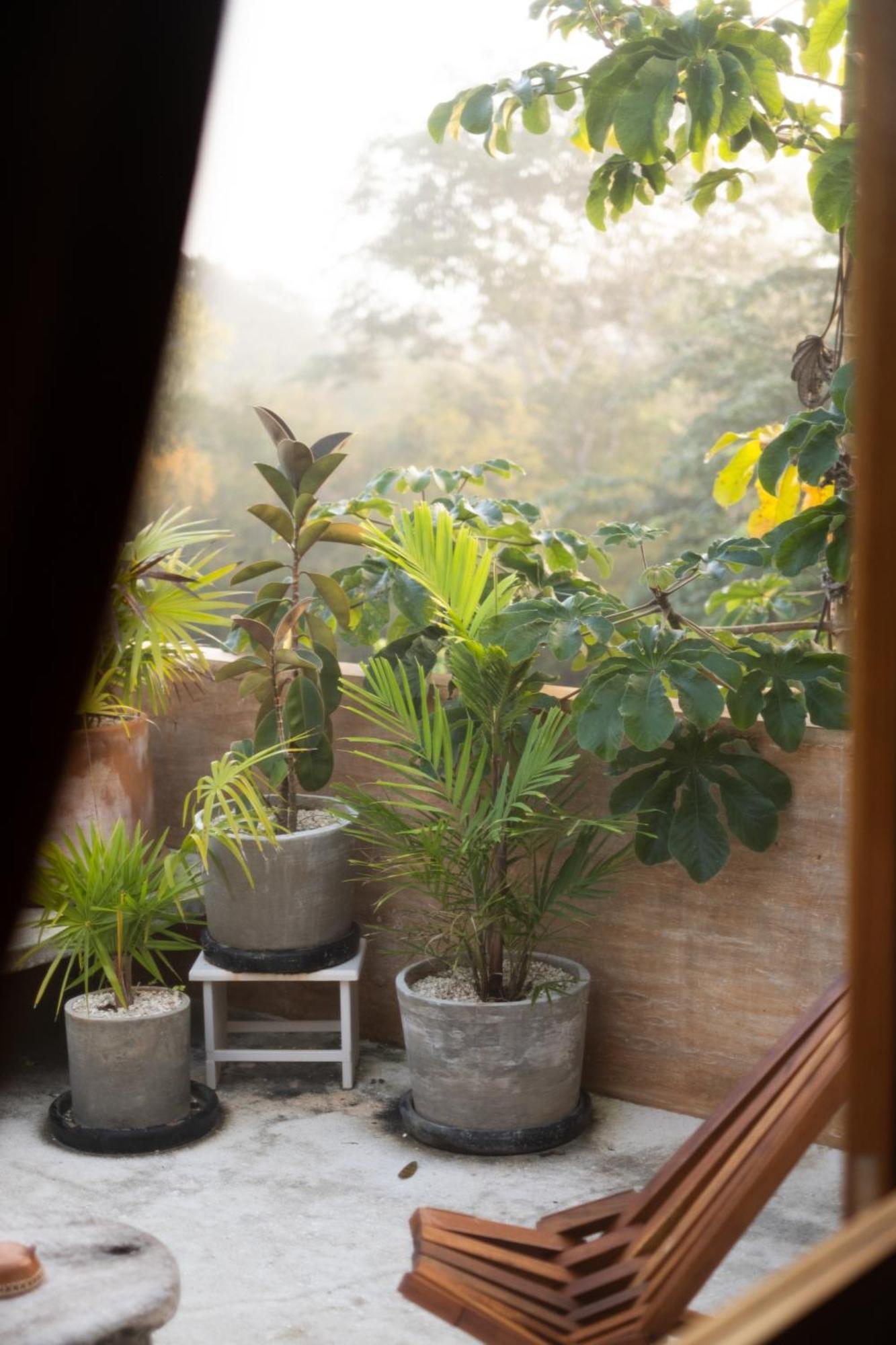 Galopina Bed & Breakfast Seye Exterior foto